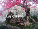 上海水泥假树