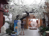 生態餐廳景觀1